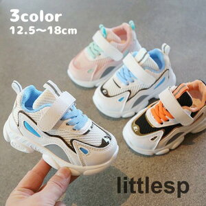 Xj[J[ LbY xr[ qǂ j̎q ̎q jp ^C V[Y qC _bhXj[J[  RȂ t@[XgV[Y Ԃ