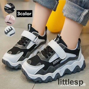 Xj[J[ C V[Y qp LbY WjA }WbNe[v ^C j̎q ̎q jZbNX n Vv S hJ X|[c _X