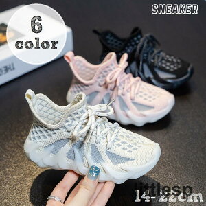 Xj[J[ LbY WjA qǂ j̎q ̎q jp ^C V[Y qC  bV ʋC ͗l iq CЂ  JW