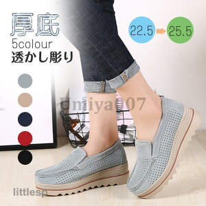 JWAV[Y  fB[X 5.5cm Od ₷ lԍHw y ~ r ʋCK 胍[t@[