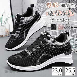 Xj[J[ Xj[J[ fB[X ~ Xj[J[ C _bh V[Y ₷ Ȃ ʊwC ʋC tďH