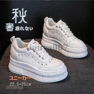 Xj[J[ fB[X  C X|[cV[Y V[Y ~ r r ₷ Ȃ ɂȂ Vv ʋ ʊw  2023V