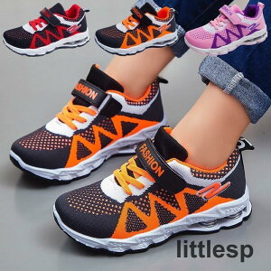 Xj[J[ ^C [XAbvV[Y RC xN LbY WjA qp  qC ʋC j̎q ̎q X|[c JWA X|[