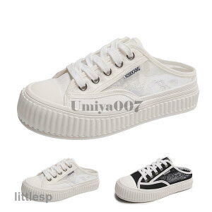 Xj[J[ fB[X [X V[Y C ƂȂ LoX z ʋC ₷ ₷