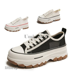 Xj[J[  bV ʋC [Jbg V[Y C ĕ Ȃ ₷ fB[X