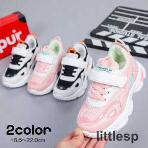 Xj[J[ ^C LbY WjA j̎q ̎q qp V[Y qp }WbNe[v  bV JWA   