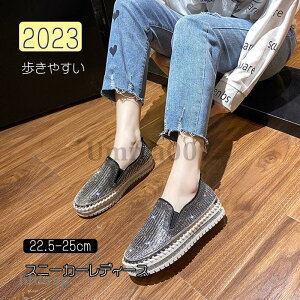 Xj[J[ fB[X  C X|[cV[Y V[Y ~ r r ₷ Ȃ ɂȂ Vv ʋ ʊw  2023V