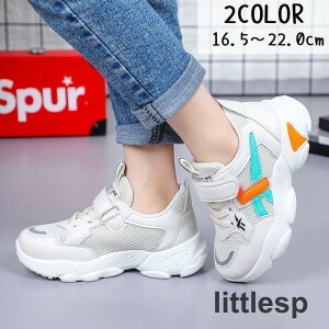 Xj[J[ LbY ^C }WbNe[v bV V[Y qp j̎q ̎q JWA X|[c   ʉ ʊw