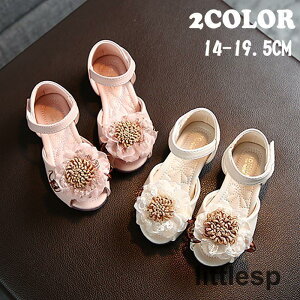 LbY LbYV[Y qǂC T_ XgbvtT_  t[ [X 킢  otH[}  T}[ ̎q