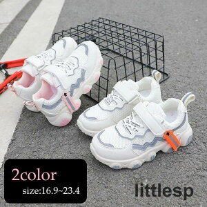 Xj[J[ ^C jOV[Y qp LbY ̎q j̎q  [Jbg ʃt@Xi[ _炩 bV S p TChC