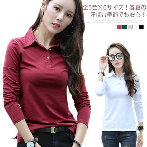 S5F×6TCYI|Vc fB[X ݕt tVc Jbg\[  gbvX ntVc tVc t t Vv  