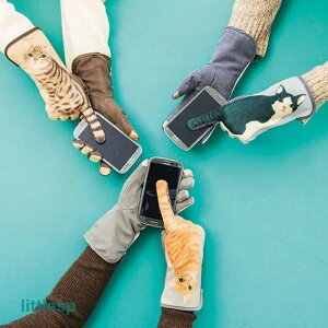  O[u ^b`plΉ L Lbg jp fB[X Y ʋΒʊw AEghA h h 킢 L[g   j