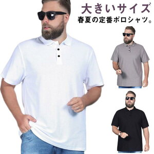 |Vc Y |Vc 傫TCY  t H JWA rWlX ubN zCg O[ u[