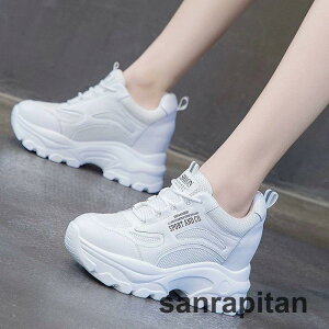  _bhXj[J[ fB[X bV w ʋ ʊw