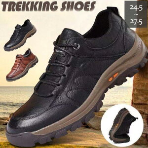 gbLOV[Y Y Xj[J[ oRC V[Y n JWA tH ₷ AEghA oR EH[LO 