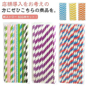 Xg[ Xg[ a6mm 500{ Ɩp ĝ y[p[Xg[ ĝăXg[ qI  Jt F  AEghA