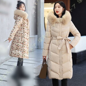 g _ER[g fB[X t[ht t@[   fB[XR[g OR[g ~  AE^[ O ꂢ ɒg 傫TCY