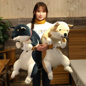 NbV { Hc A ʂ ӂӂ _炩 y ܂  JWA  nEB }N sp D