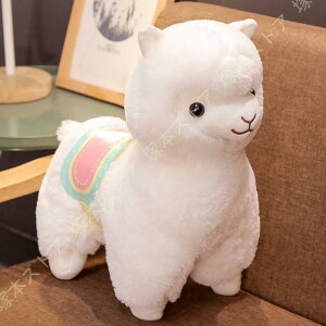 ApJ ʂ YQ q v[g   n a ̓ ̓ NX}X Mtg j D 蕨 lLbY