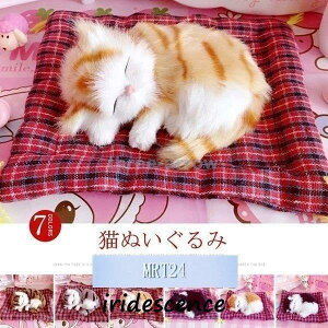 Lʂ L Aʂ ʂ ttȎGŖ 킢ʂ t@V[ObY G CeA