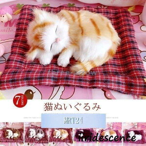 Lʂ L Aʂ ʂ ttȎGŖ 킢ʂ t@V[ObY G CeA