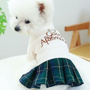 XJ[gtjbg `FbN  ̕  s[X H~ ybg m 񂱂̕ `  [L[ | v[h ^ hbNEGA ^