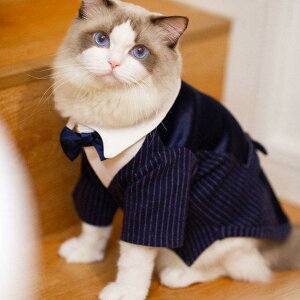 ybg  L tH[X[c  ^LV[h WPbg R[g I p[eB[ hbOEFA ybgm j̎q ^ LO j tďH~