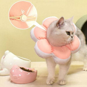 2_Zbg GUxXJ[ GJ p@Lp ybgpi@pی  p RۏL p㕞 r r h~  畆 ×p e