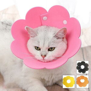 3_Zbg GUxXJ[ GJ p@Lp ybgpi@pی  p RۏL p㕞 r r h~  畆 ×p e