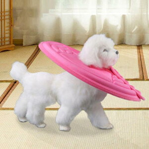 GUxXJ[ GJ p@Lp ybgpi@pی  p RۏL p㕞 r r h~  畆 ×p e D