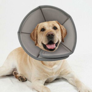 GUxXJ[ GJ p@Lp ybgpi@pی  p RۏL p㕞 r r h~  畆 ×p e D