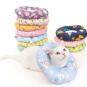 2_Zbg GUxXJ[ GJ p@Lp ybgpi ߉\ pی  p RۏL p㕞 r r h~  畆