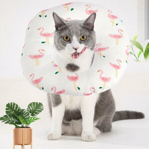 GUxXJ[ GJ p Lp ybgpi \tg^Cv pی  p RۏL p㕞 r r h~  畆 ×p