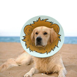 1�_/2�_�Z�b�g �G���U�x�X�J���[ �G���J�� ���p �L�p �y�b�g�p�i �}�W�b�N�e�[�v �p��ی� ��� ��p�� �R�ۏ��L �p�㕞 ���r�� ���r�� ���������h�~ ����