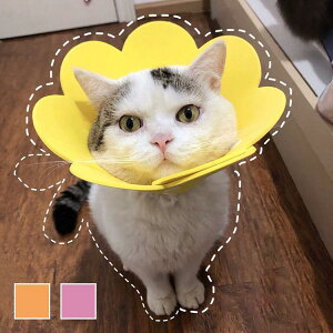 1_/2_/4_Zbg GUxXJ[ GJ p Lp ybgpi pی  p RۏL p㕞 r r h~  畆 ×p