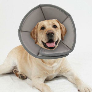 �G���U�x�X�J���[ �G���J�� ���p �L�p �y�b�g�p�i �}�W�b�N�e�[�v �p��ی� ��� ��p�� �R�ۏ��L �p�㕞 ���r�� ���r�� ���������h�~ ���� �畆���� ��×p