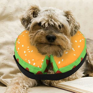 GUxXJ[ GJ p Lp ybgpi }WbNe[v pی  p RۏL p㕞 r r h~  畆 ×p