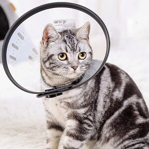 GUxXJ[ GJ p Lp ybgpi pی  p RۏL p㕞 r r h~  畆 ×p