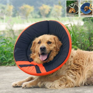 GUxXJ[ GJ p Lp ybgpi }WbNe[v pی  p RۏL p㕞 r r h~  畆 ×p