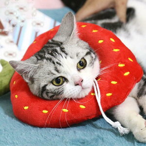 GUxXJ[ GJ p Lp ybgpi pی  p RۏL p㕞 r r h~  畆 ×p e D