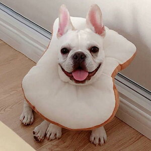 GUxXJ[ GJ p Lp ybgpi pی  p RۏL p㕞 r r h~  畆 ×p e D