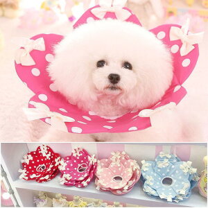 GUxXJ[ GJ p Lp ybgpi pی  p RۏL p㕞 r r h~  畆 ×p e