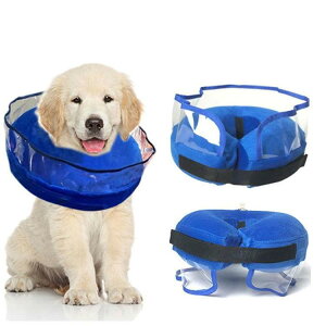 GUxXJ[ GJ p Lp ybgpi pی  p RۏL p㕞 r r h~  畆 ×p e