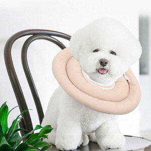 GUxXJ[ GJ p Lp ybgpi pی  p RۏL p㕞 r r h~  畆 ×p e