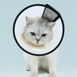 2_Zbg GUxXJ[ GJ p@Lp ybgpi@pی  p RۏL p㕞 r r h~  畆 ×p e