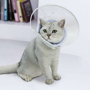 GUxXJ[ GJ p@Lp ybgpi@pی  p RۏL p㕞 r r h~  畆 ×p e D