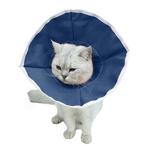 2_Zbg GUxXJ[ GJ p@Lp ybgpi@pی  p RۏL p㕞 r r h~  畆 ×p e