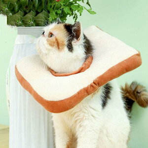 2_Zbg GUxXJ[ GJ p@Lp ybgpi@pی  p RۏL p㕞 r r h~  畆 ×p e