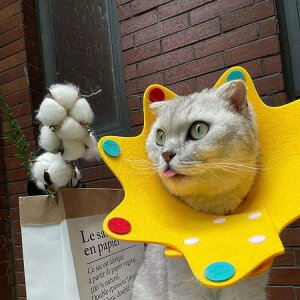 3_Zbg GUxXJ[ GJ p@Lp ybgpi@pی  p RۏL p㕞 r r h~  畆 ×p e