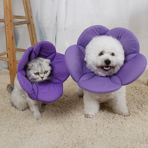 GUxXJ[ GJ p@Lp ybgpi@pی  p RۏL p㕞 r r h~  畆 ×p e D